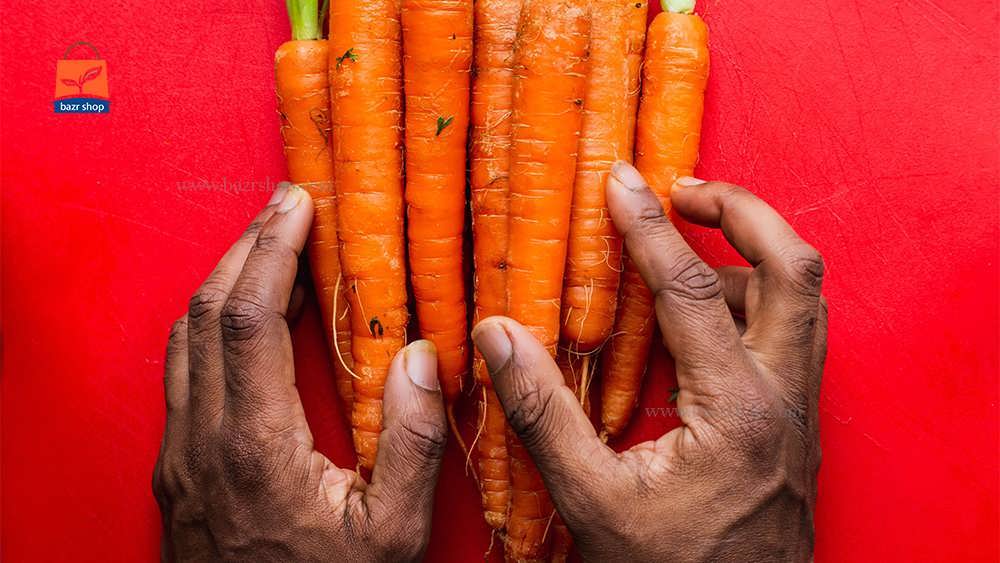 هویج در دستان انسان