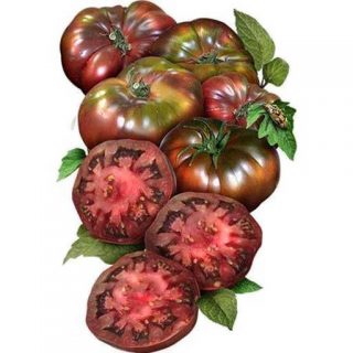 گوجه آزویچکا