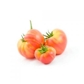 بذر گوجه هیلبیلی