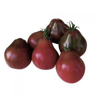 بذر گوجه فرنگی ترایفل ژاپنی