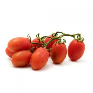 بذر گوجه فرنگی روم