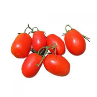 بذر گوجه فرنگی سوپر چف
