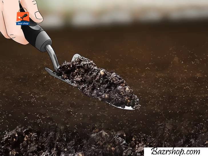 در صورت نیاز خاک را با کود آلی غنی کنید