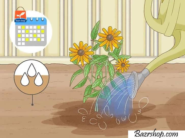 وقتی خاک خشک شد گیاهان خود را آبیاری کنید
