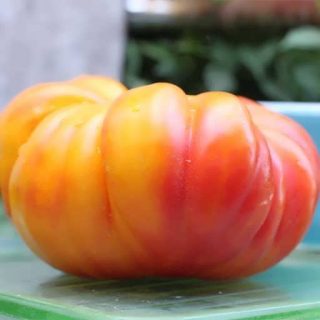 بذر گوجه فرنگی آناناسی
