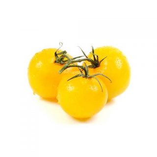 بذر گوجه فرنگی زرد بوته ای