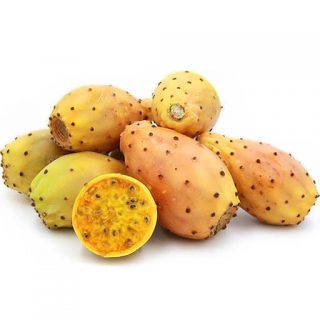 کاکتوس اپونتیا میوه دار زرد