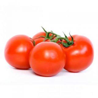 بذر گوجه فرنگی سنگ قرمز