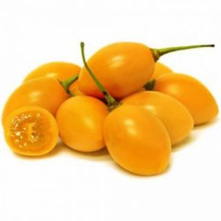 بذر تاماریلو نارنجی