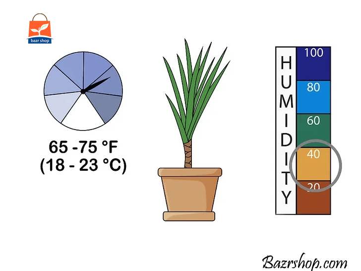 حفظ دمای گیاه
