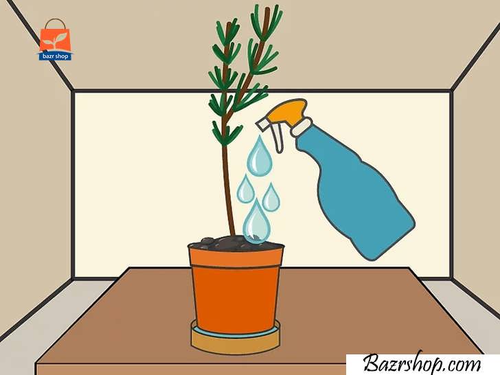 ریختن آب روی پاهای گیاه