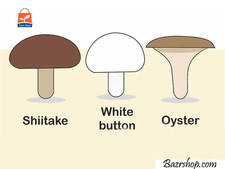 سه نوع قارچ مختلف