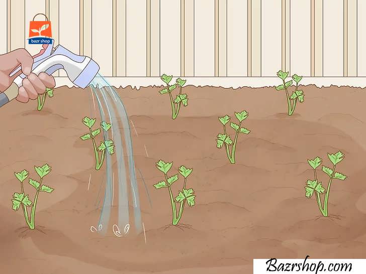به گیاهان آب دهید