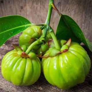 میوه گارسینیا کامبوجیا