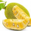 برشی از میوه جک فروت
