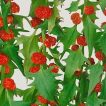 گل سلمک توت گنجشکی