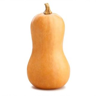 ساقه کدو حلوایی (کدو رشتی)
