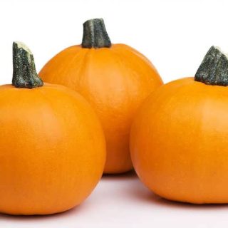 کدو پای نارنجی پس زمینه