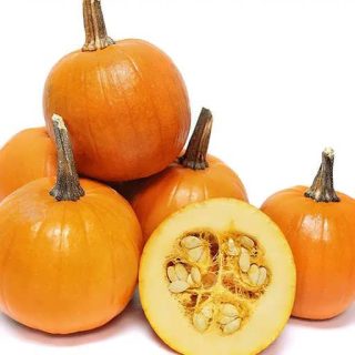 کدو پای نارنجی از روبرو