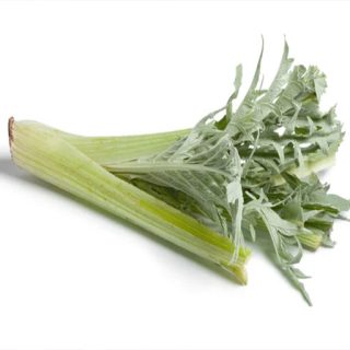 کنگر فرنگی