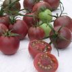 گوجه زیتونی خرمایی درختی برش خورده