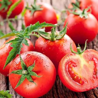 گوجه فرنگی قرمز بوته ای آبدار از روبرو
