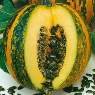 کدو تنبل ببری کشیده برش خورده