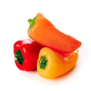 بذر فلفل پاپریکا میکس