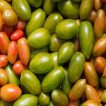 بذر گوجه زیتونی ببری میکس