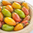 بذر گوجه زیتونی ببری میکس در کاسه