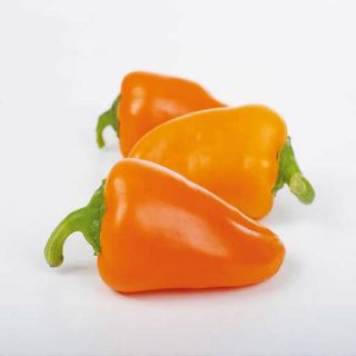 فلفل پاپریکا نارنجی پس زمینه
