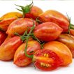 بذر گوجه زیتونی ببری قرمز درختی پس زمینه