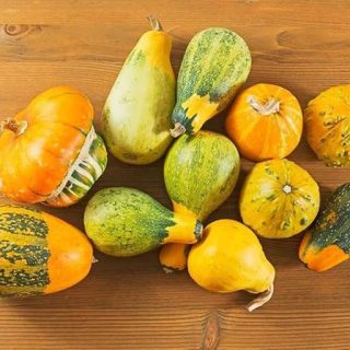 کدو حلوایی زینتی (کدو زینتی شهر آفتاب) از بالا