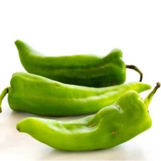 فلفل پاپریکا سبز شیرین از روبرو