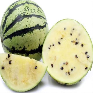 بذر هندوانه سفید از روبرو