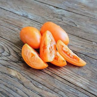 شاخه گوجه زیتونی نارنجی درختی