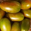 گوجه زیتونی ببری زرد درختی از روبرو