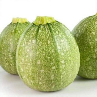 بذر کدو خورشتی گرد سبز