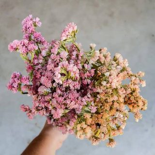 دسته گل استاتیس (لیمونیوم) پابلند الوان
