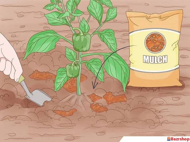 افزودن مالچ