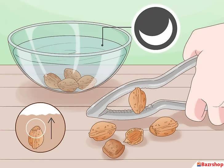 فرآیند جوانه زنی بذر بادام