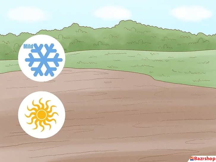 شرایط آب و هوایی مناسب برای درخت بادام