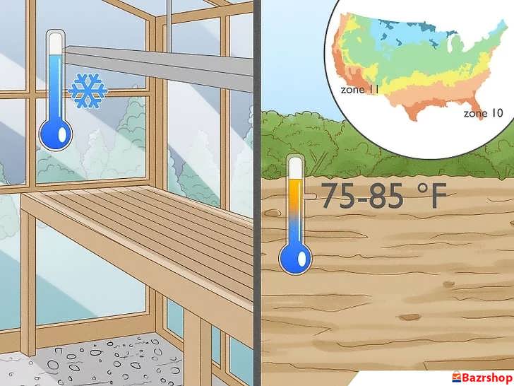 دمای ایده آل فلفل سیاه
