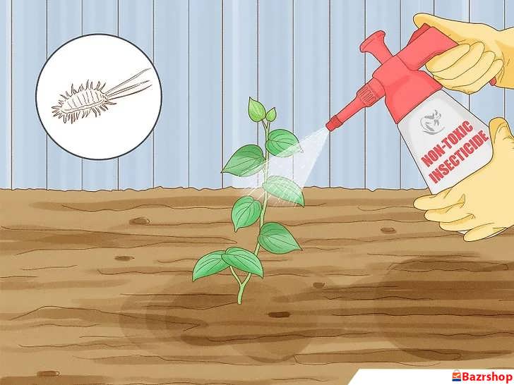 آفات فلفل سیاه