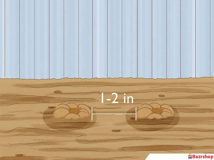 فاصله گذاری دانه های فلفل سیاه