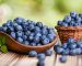 پس زمینه انواع بلوبری
