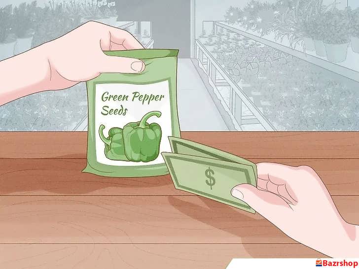 خرید بذر فلفل دلمه ای سبز