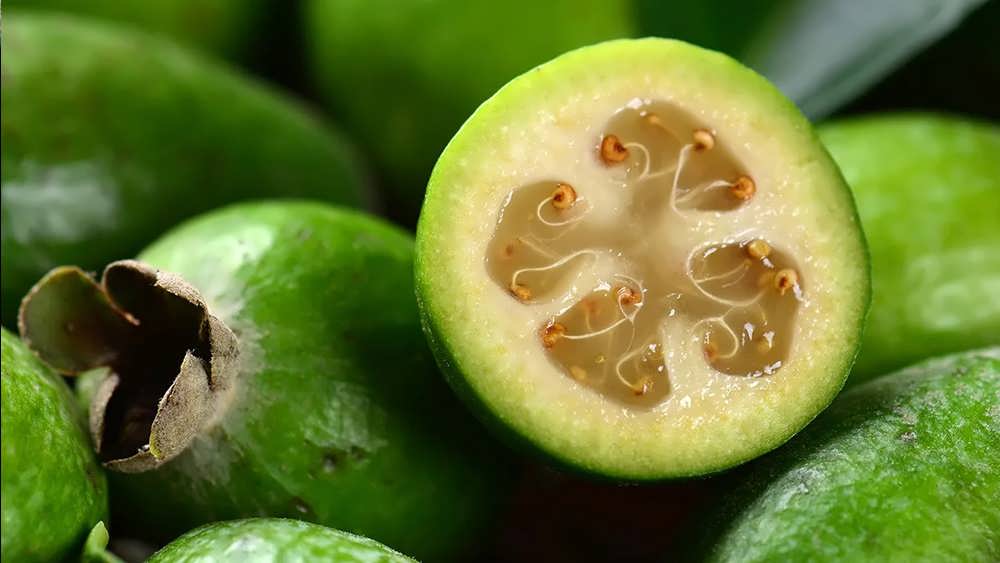 درخت میوه فوجیا برش خورده