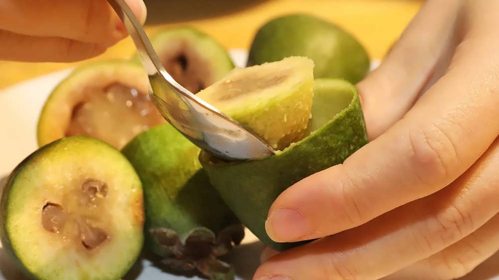 میوه درخت فوجیا در حال خوردن