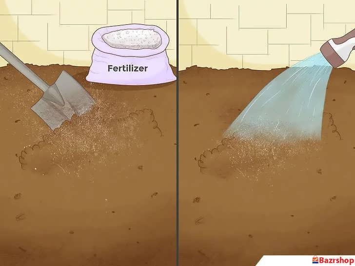 کوددهی و آبیاری بستر
